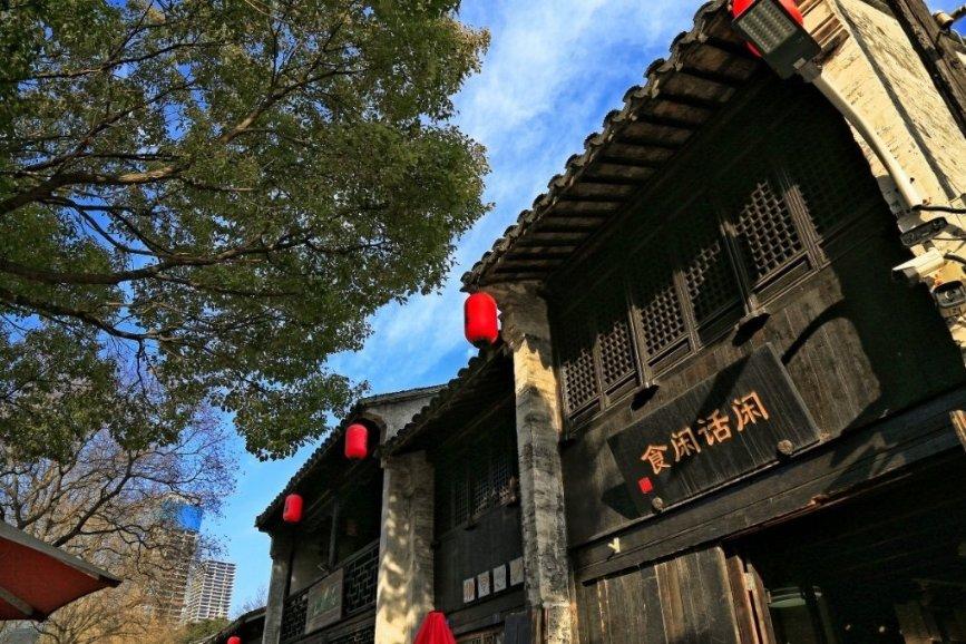 漂亮鹦鹉救援